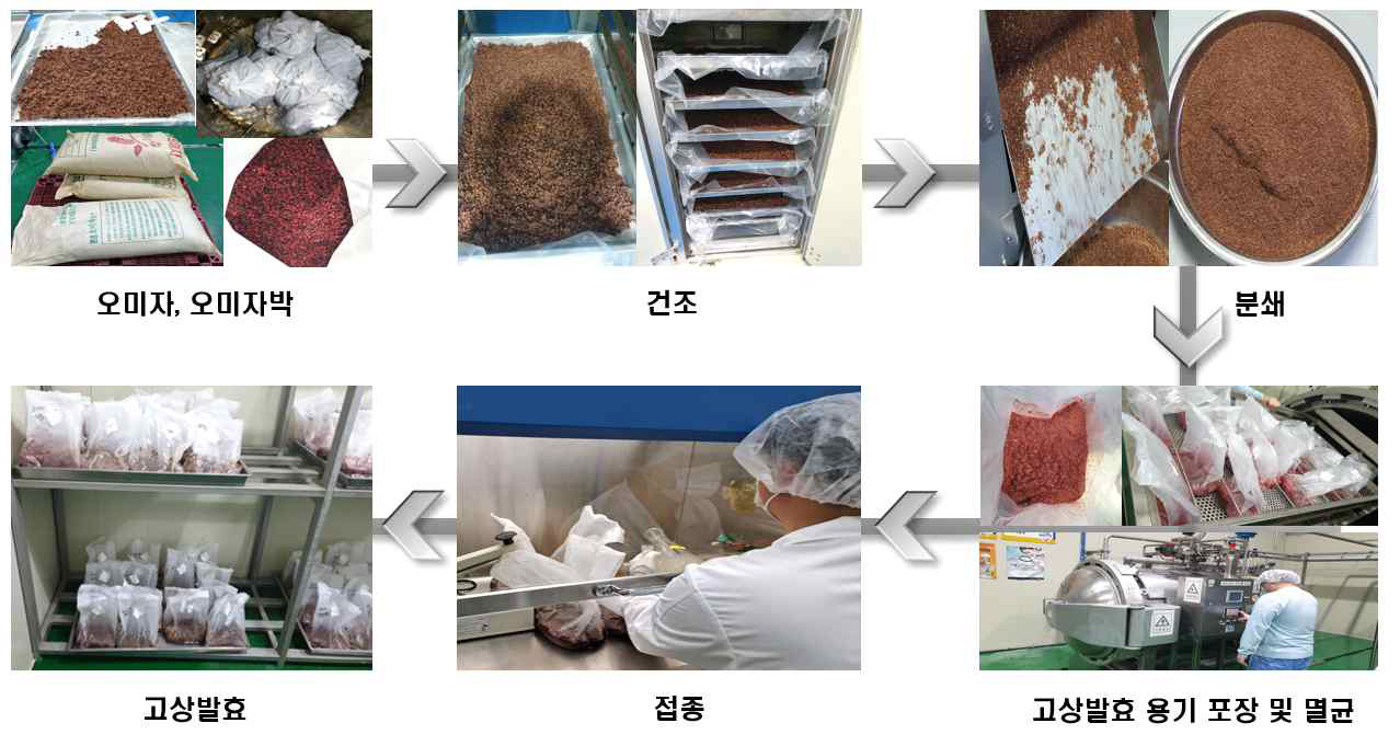 오미자 및 오미자박 고상발효 공정