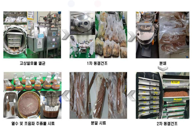 오미자 및 오미자박 고상발효 추출공정