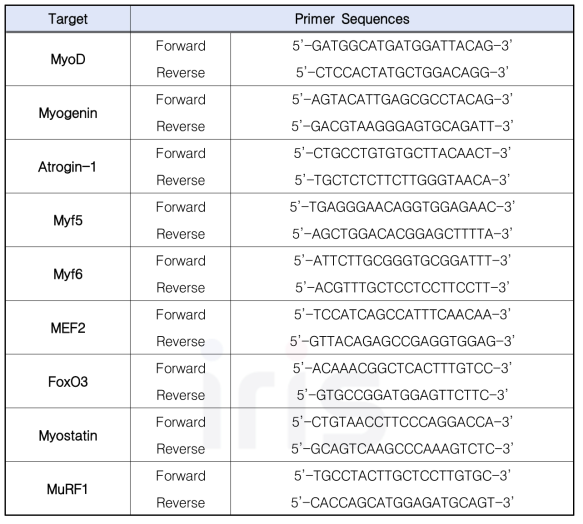 Specific primer sequences for PCR