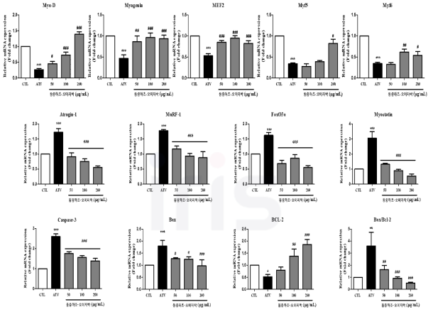 Effects of no. 8 extracts on mRNA expression on Atrovastatin-induced muscle atrophy in C2C12 myotubes