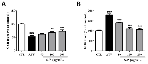 The Effect of S-P extract on GSH(A) and ROS(B) levels in C2C12 myotubes. C2C12 cells were treated with ATV (10 uM) with various concentration of SP extracts (50, 100 and 200 ㎍/㎖) for 24h. Values are means SEM of two different preparations with quadruplicate experiments. ###p<0.001 vs. CTL ; **p<0.01 and ***p<0.001 vs. ATV group