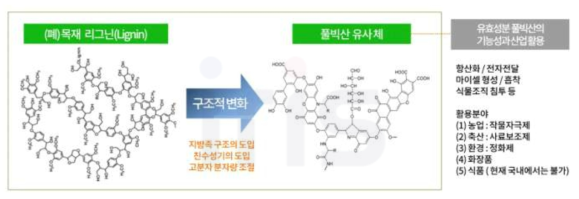 풀빅산 유사체 및 산업 활용