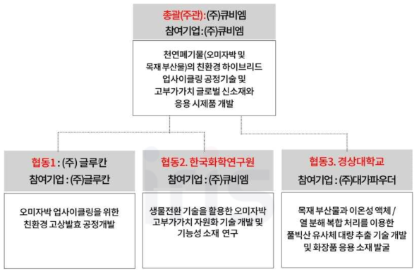 연구개발과제의 수행 추진체계