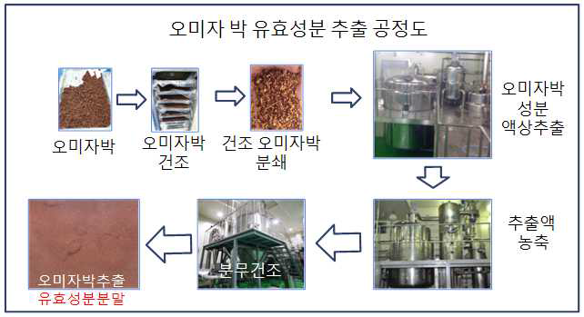 유효성분 캡슐화를 위한 오미자박 추출물 공정도