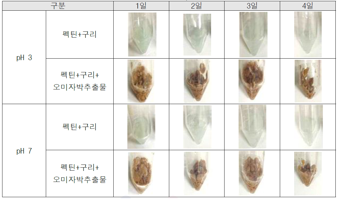 pH에 따른 펙틴+구리 캡슐의 시간별 변화