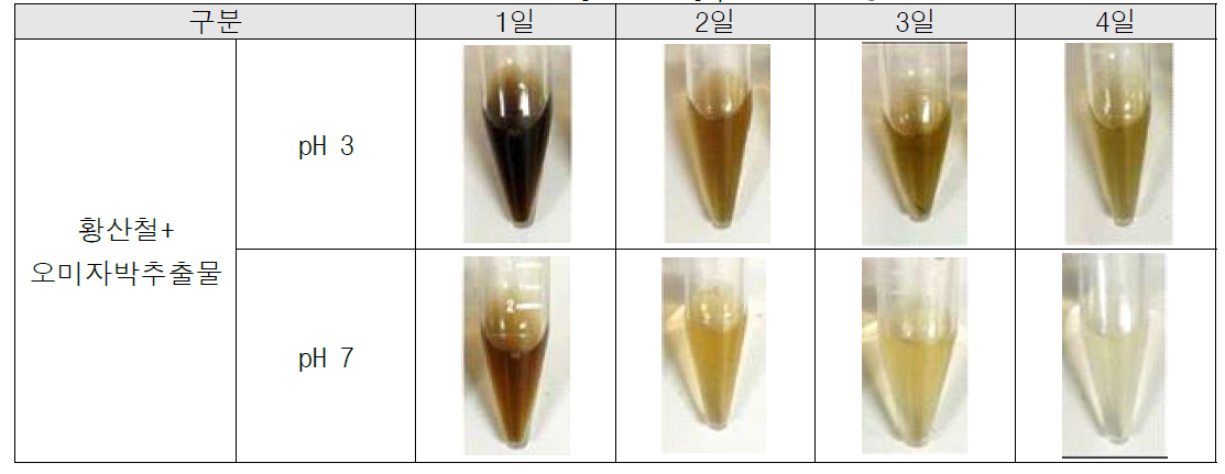 pH에 따른 황산철 캡슐의 시간별 변화