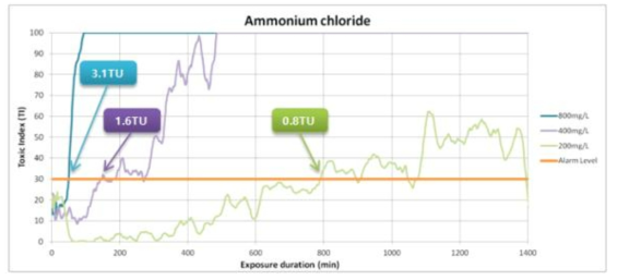 염화암모늄 독성시료의 농도별 24시간 측정된 TI와 독성 유입이 검출된 TU