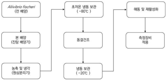 발광박테리아 배양 순서