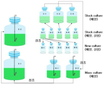 미세조류 배양 모식도