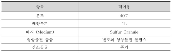 황산화박테리아 배양 조건