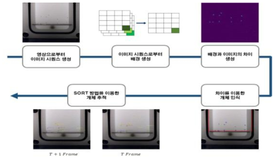 물벼룩 개체 추적 알고리즘 프로세스