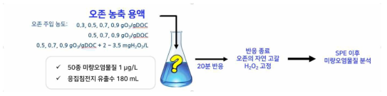 오존 실험 방법