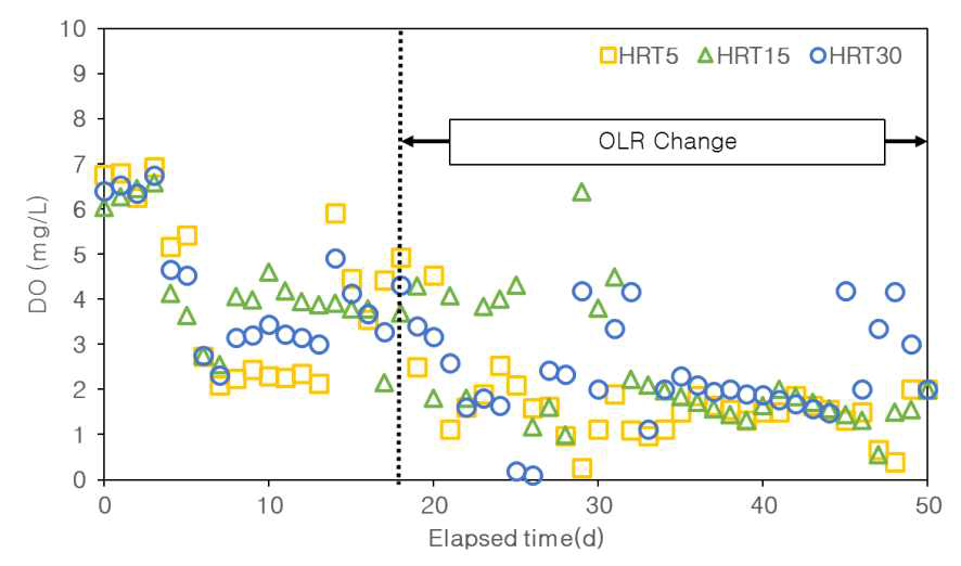운전기간 중 DO 농도 변화