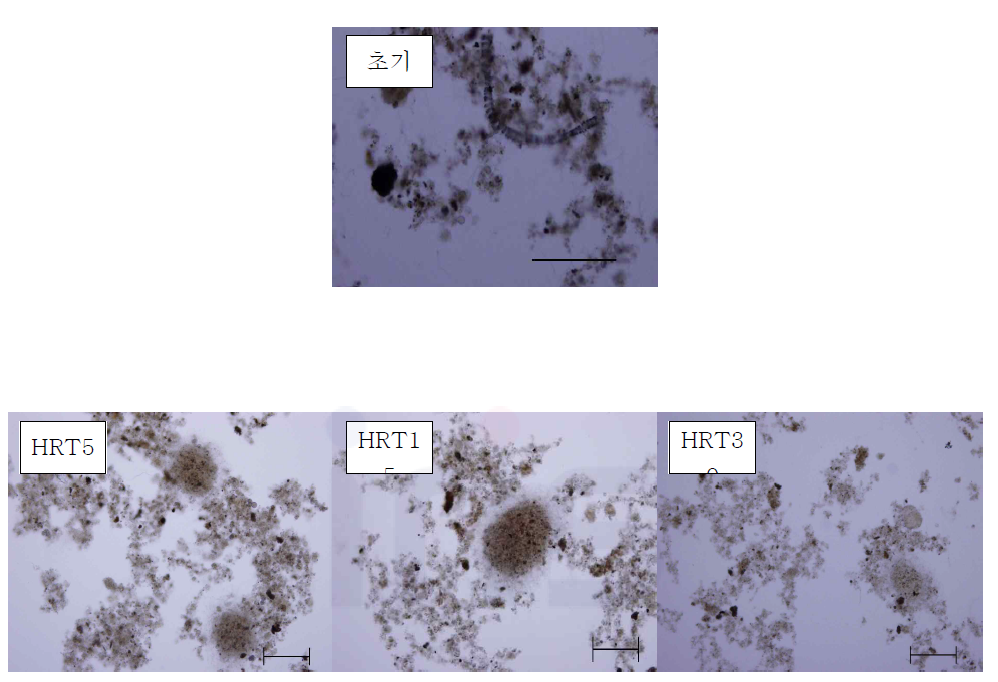 운전 초기 및 운전 48일째 sample 현미경 image