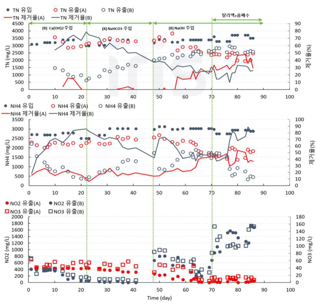 반응기 A/B의 질소 농도와 제거율