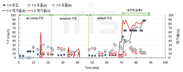 반응기 A/B의 T-P 농도와 제거율