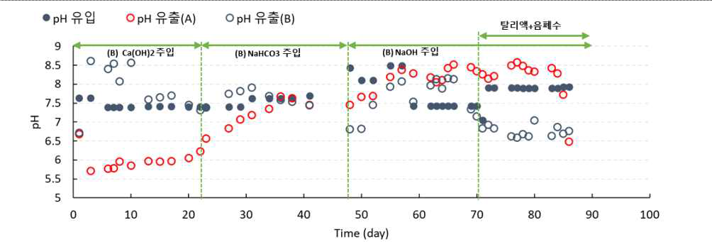 반응기 A/B의 pH 변화