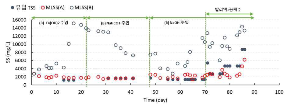 반응기 A/B의 MLSS 변화
