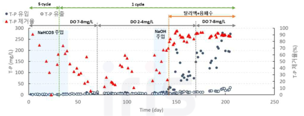 T-P 농도 변화