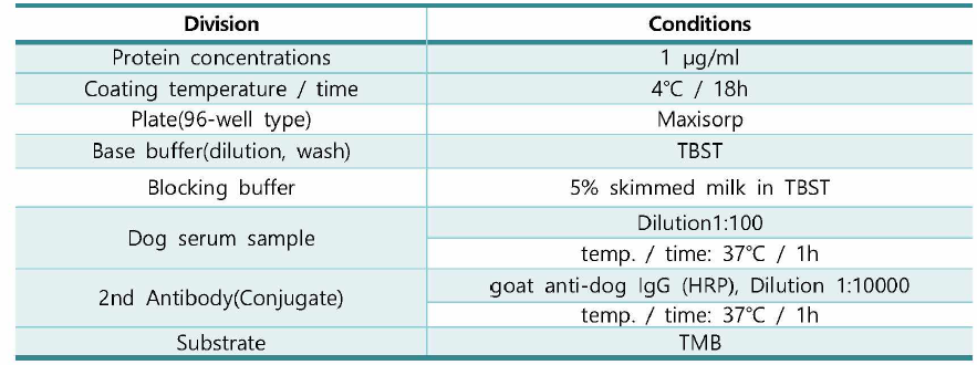 B. canis 3종 recombinant proteins을 이용한 indirect ELISA의 반응조건