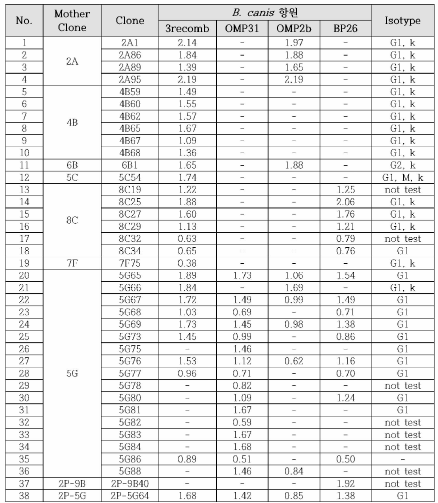 B. canis 3종 다중항원(3recomb)을 이용하여 선발된 단크론 항체의 검사 결과