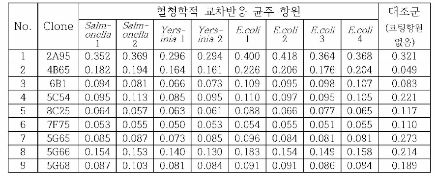 혈청학적 교차반응 균주 항원과 다중항원 단크론 항체와의 반응성 검사