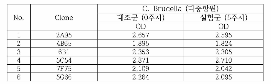 다중항원에 대한 단크론항체를 이용한 대조시약의 안정성 시험