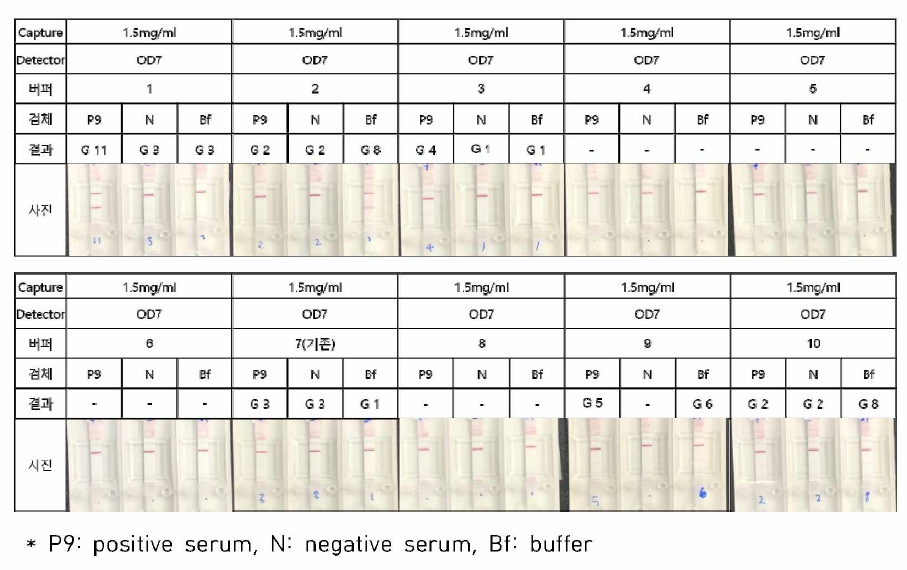 B. canis 다중항원(1.5mg/ml) 신속진단키트에 사용할 버퍼의 최적화 시험