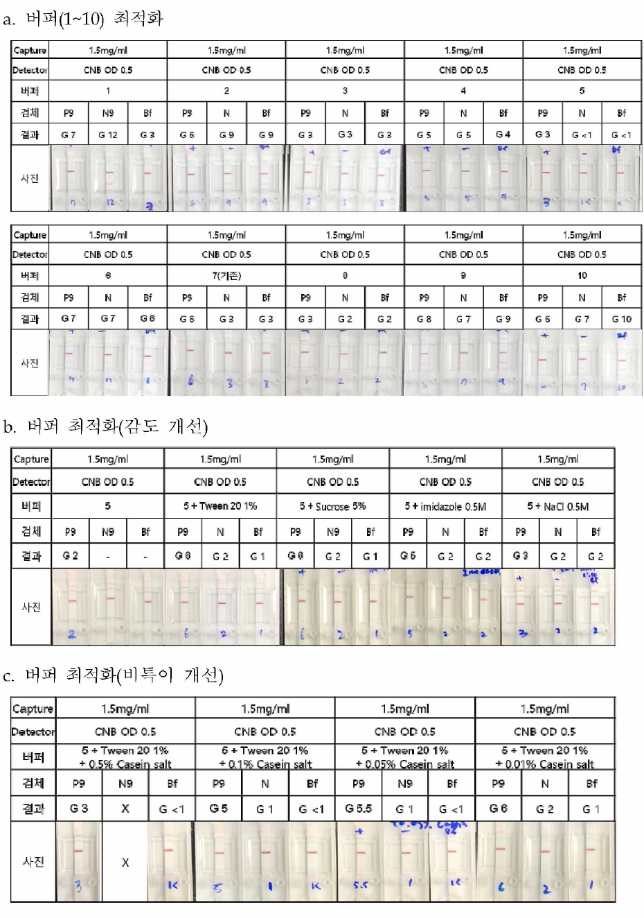 B.canis 다중항원(1.5mg/ml) 신속진단키트의 detector(CNB pad)에 적합한 버퍼 최적화