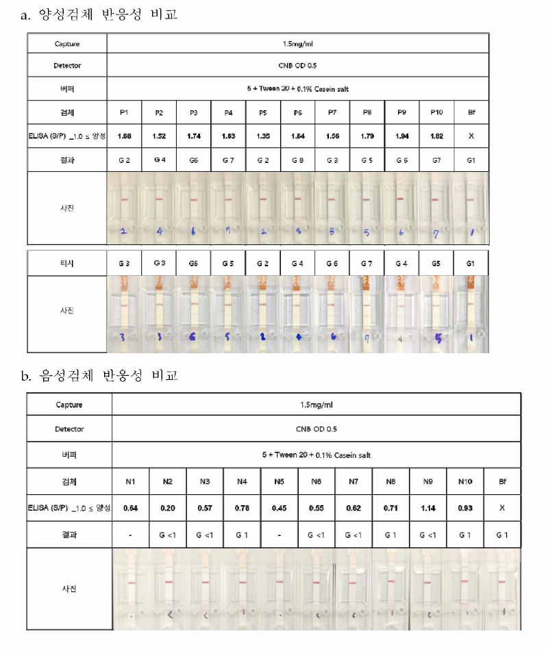 타사 키트와 반응성 비교