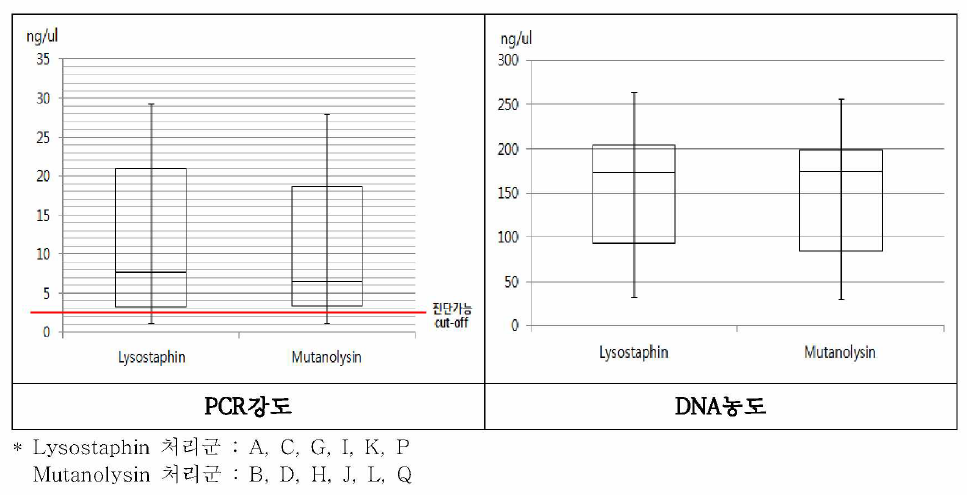 Lysostaphin과 Mutanolysin처리군의 PCR강도와 DNA농도 비교