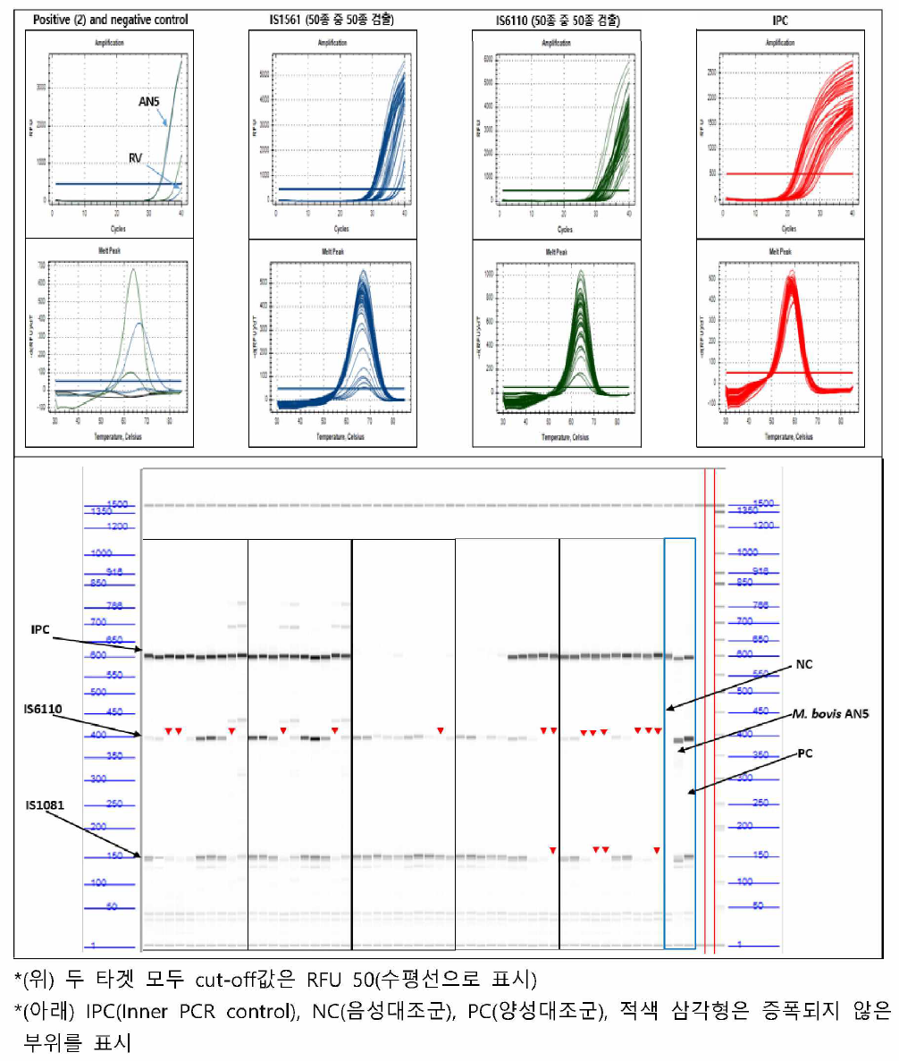 Real time PCR 킷트와 conventional PCR킷트의 양성검체 진단결과 비교