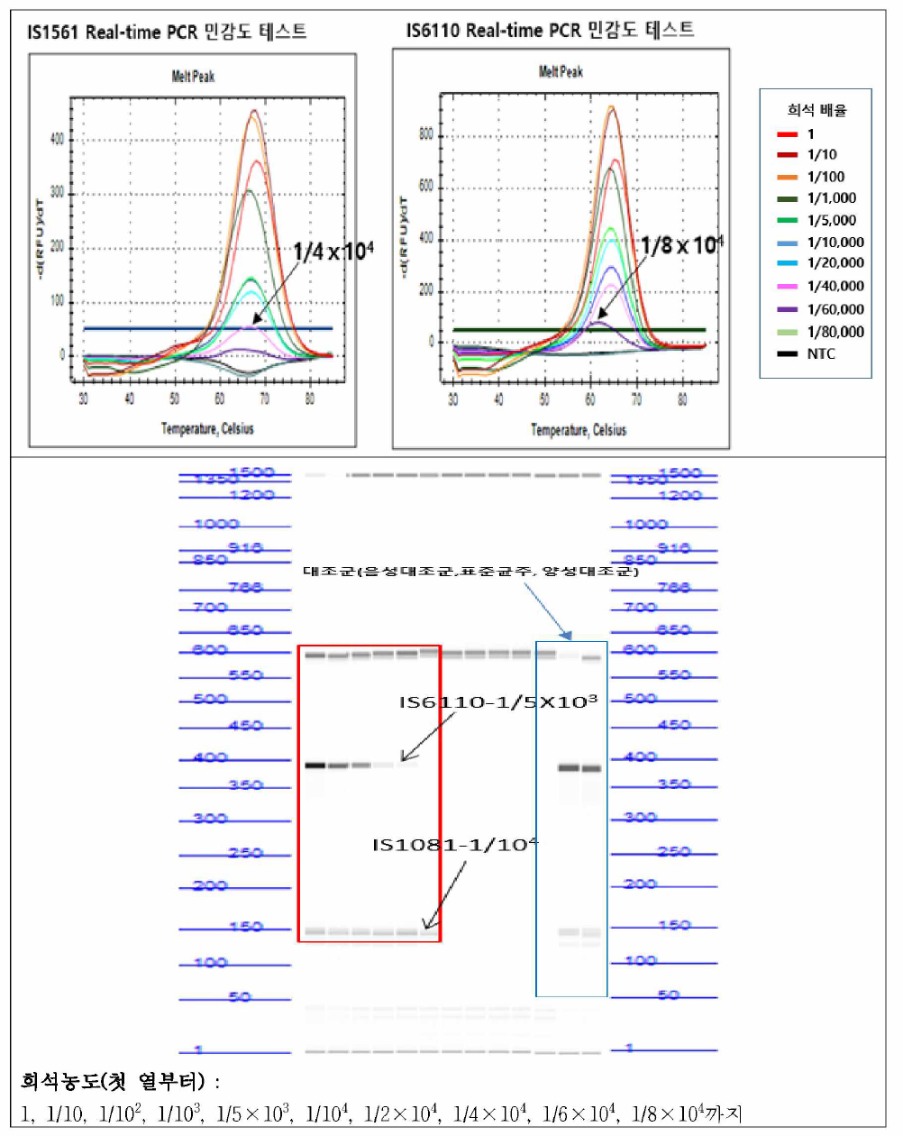 Real time PCR 킷트와 conventional PCR킷트의 표준균주 DNA에 대한 검출한계 비교