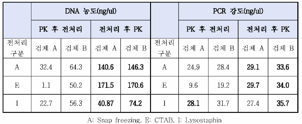 PK 처리 시점에 따른 DNA 농도와 PCR 강도 비교