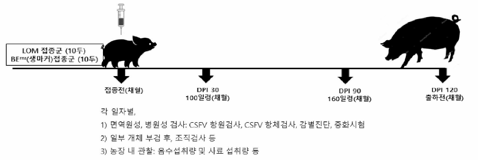 실험 방법 및 실험일정