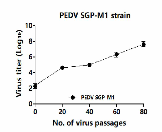 PEDV SGP-M1 분리주의 계대별 역가 비교 결과