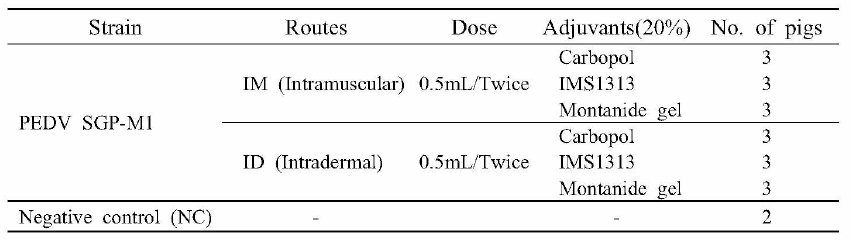 PED 불활학백신 후보주(SG P-M 1) 무침피내접종부위 양상