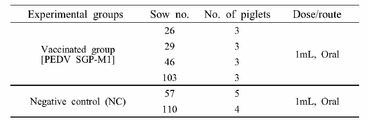 PED 공격접종에 대해 방어능 조사를 위한 포유자돈 실험 그룹