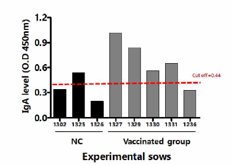 PED 경구용 생백신 후보주(HSGP) 접종 임신모돈 초유내 Ig A 항체가 조사 * IgA ELISA Cut off ratio (positive >0.43 and negative < 0.34)