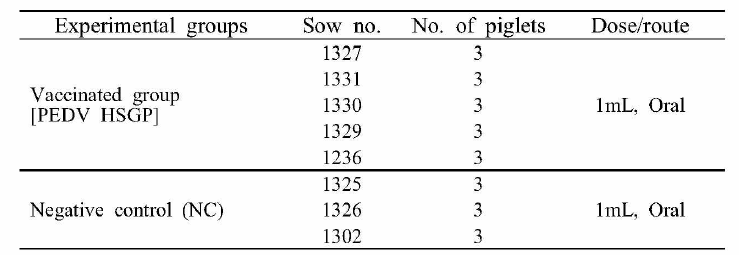 PEDV 공격접종에 대해 방어능 조사를 위한 포유자돈 실험 그룹