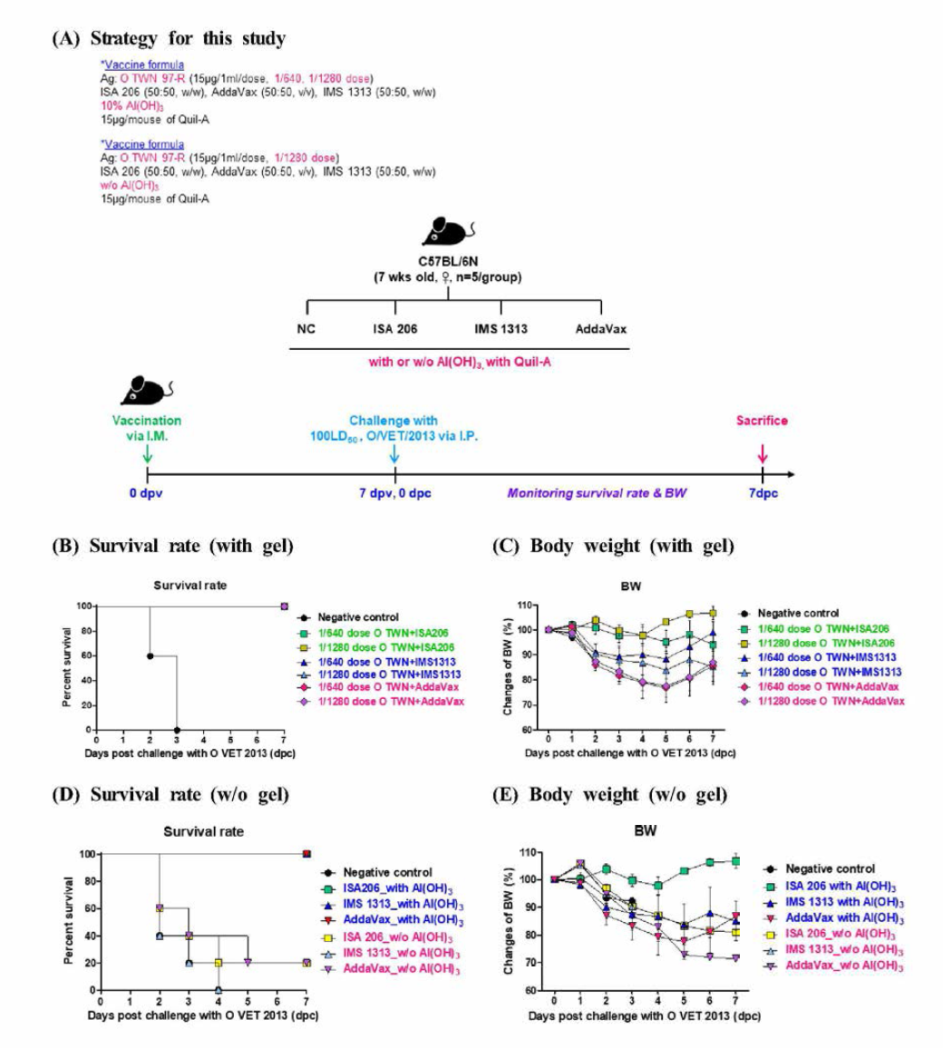 Emulsion (ISA 206，IMS 1313，AddaVax) with or w/o gel mediated protective effect against FMDV (100 LD5〇 O VET 2013，ME-SA topotype) infection in mice