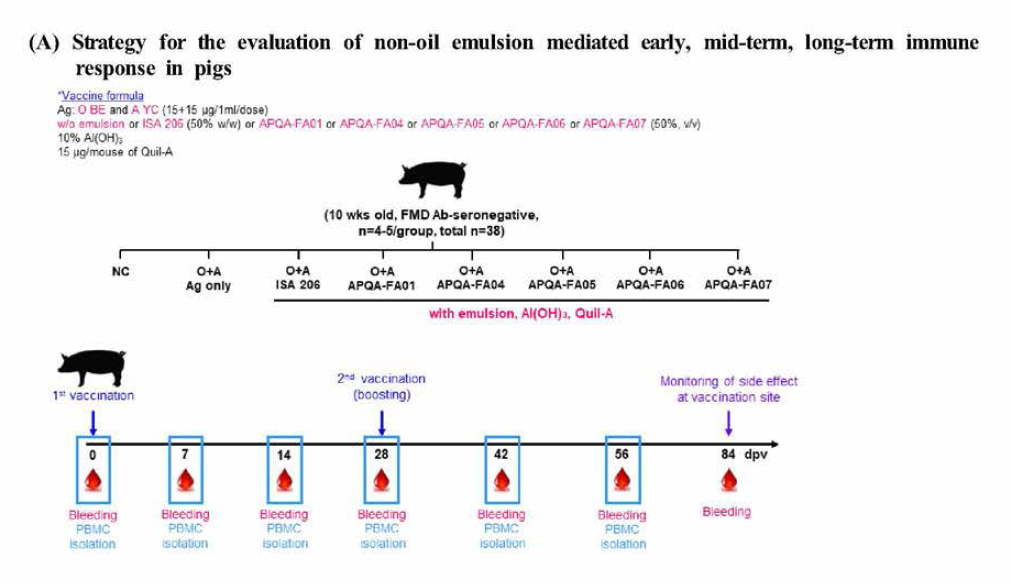 Novel non-oil emulsion (APQA-FA01, 04，05，06 and 07) mediated early, mid-term and long-term immunity in pigs
