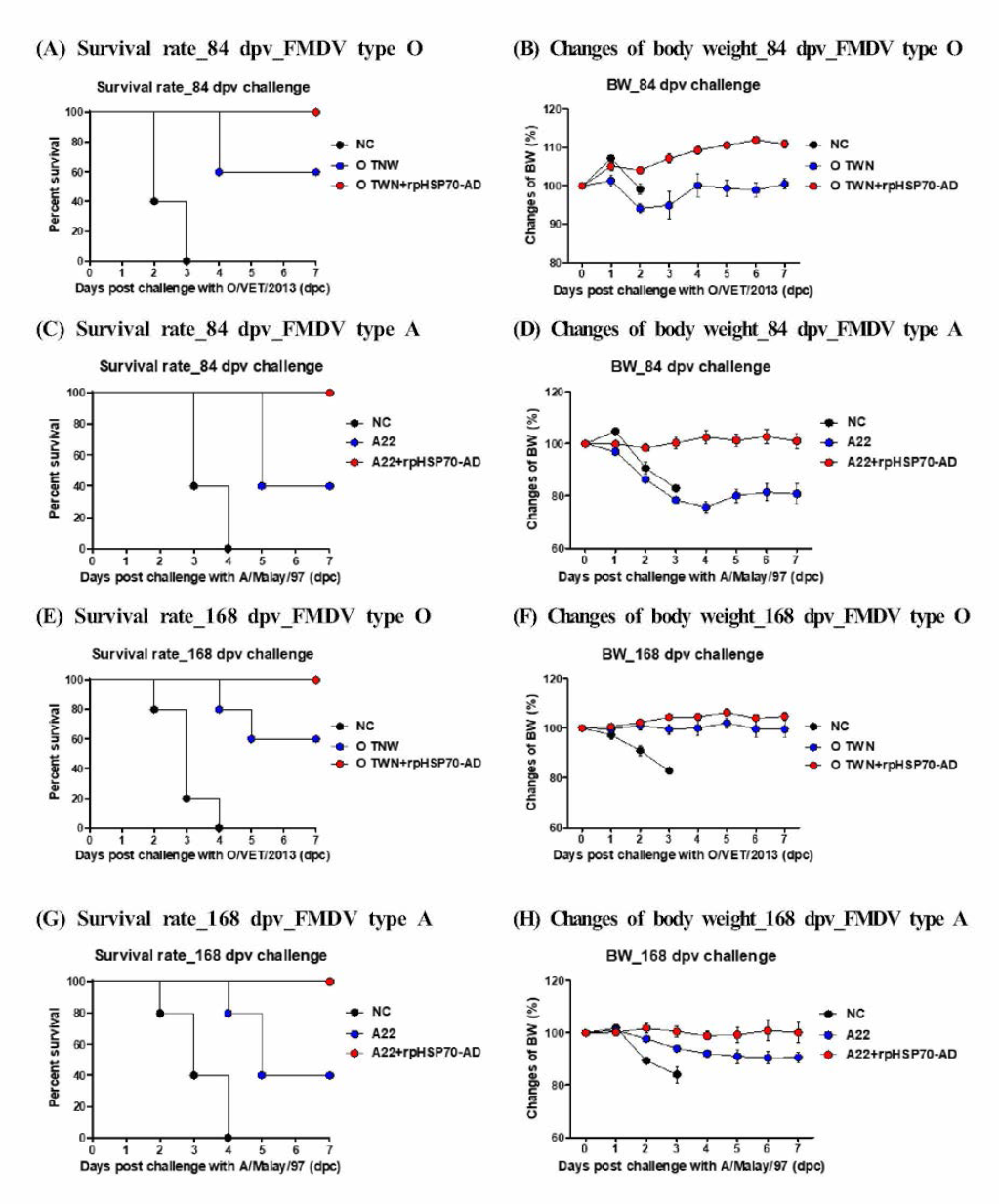 rpHSP70-AD mediated memory responses and host defense against FMDY type O and FMDY type A infection