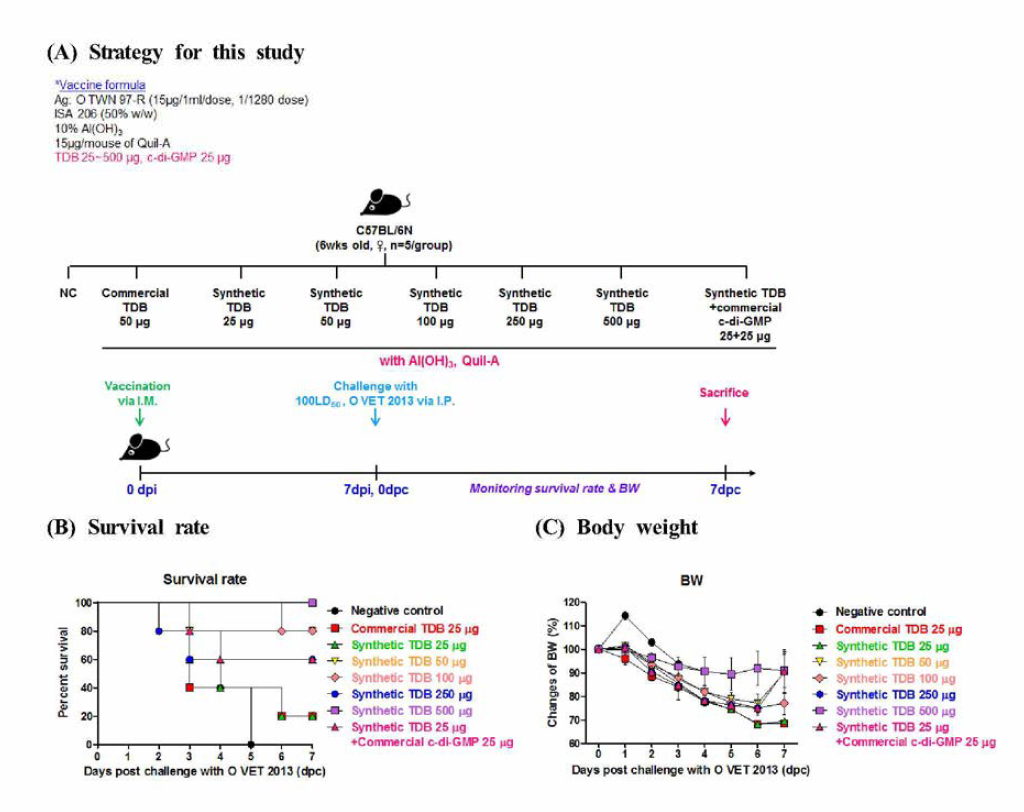 Synthetic TDB mediated protective efficacy against FMDV (100 LD50 O VET 2013) infection and dose response in mice