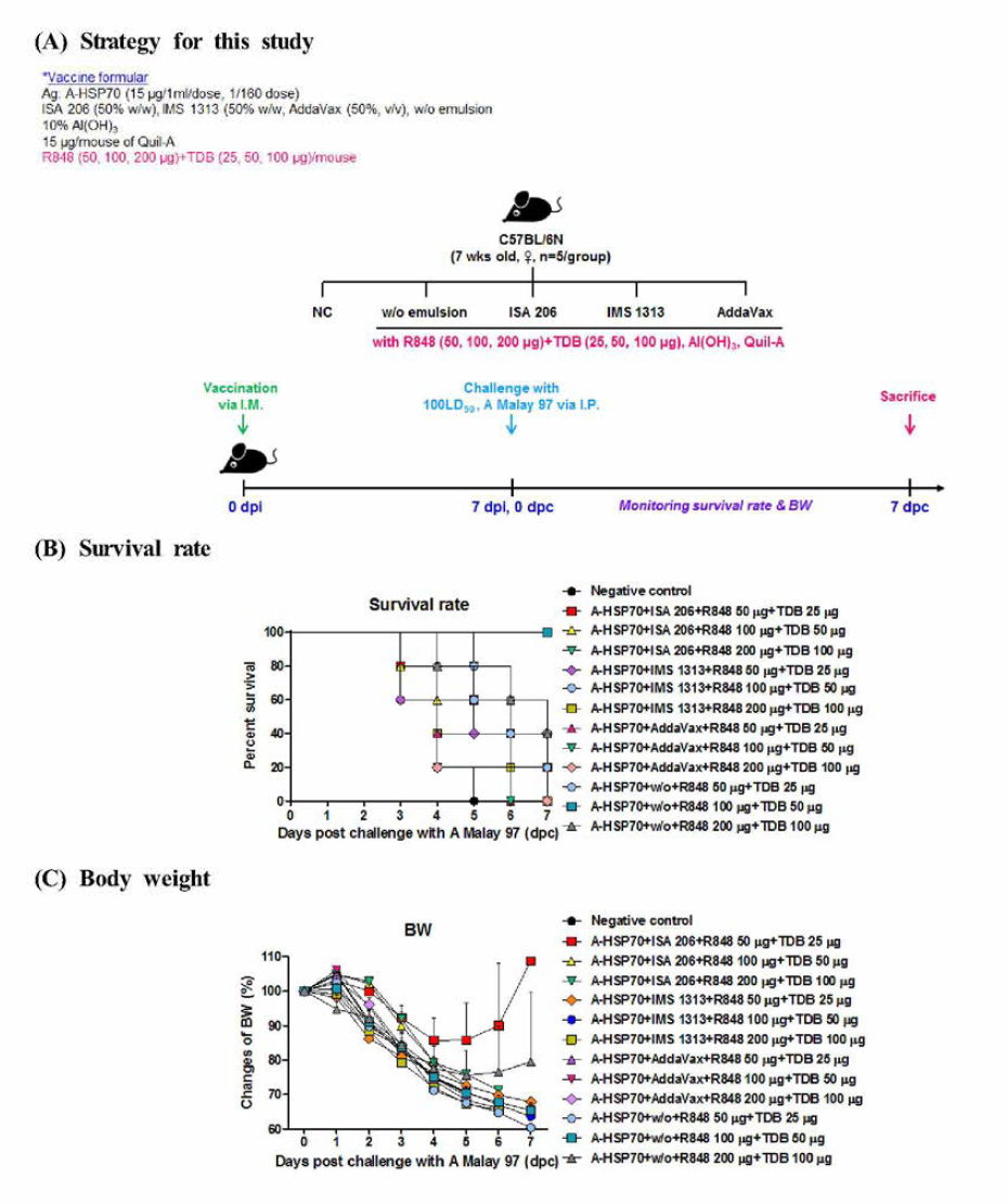R848 and TDB mediated protective efficacy against FMDV (100 LD50 A Malay 97) infection and dose response in mice