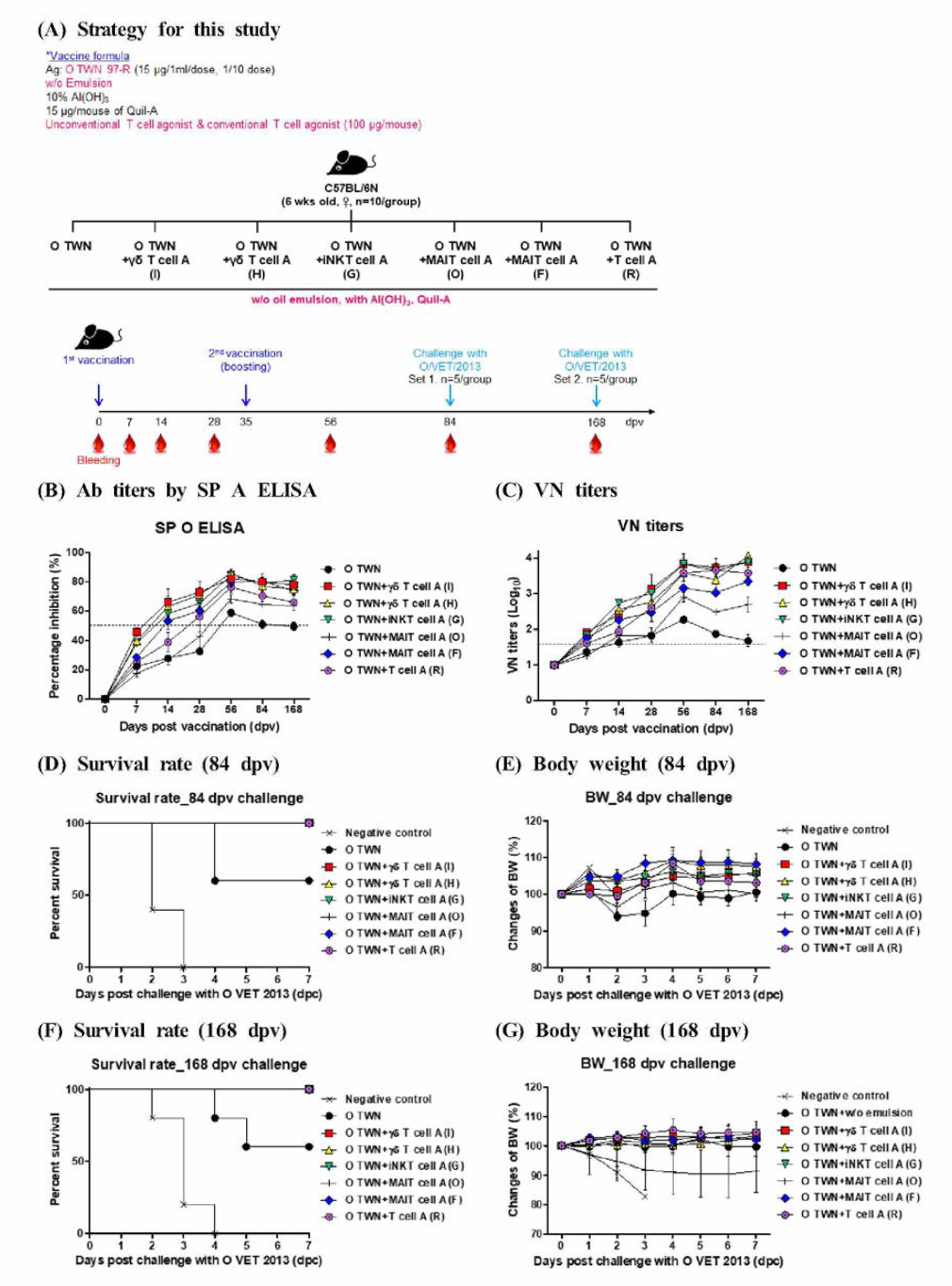Adjuvanticity of unconventional T cell agonist and T cell agonsit, and significant enhancement of the cellular and humoral immune response against FMDV infection