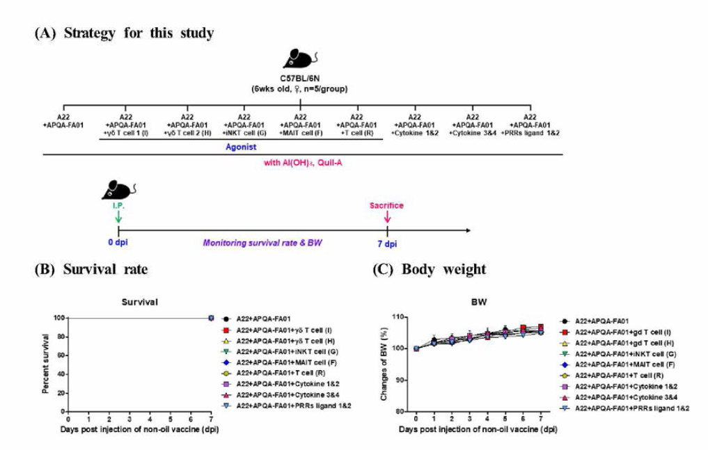 Safety of novel non-oil emulsion (APQA-FA01) with immunostimulant in mice