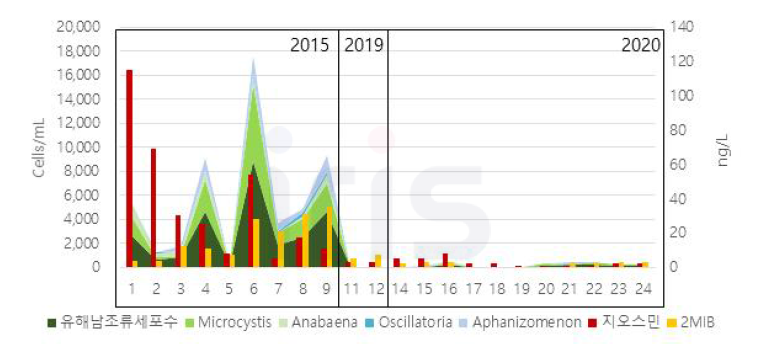 한강 광진교 지역에서 측정된 연도별 유해남조류와 맛.남새물질