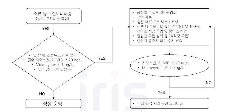 조류 발생시 정수장 운영 대응방안 의사결정 흐름도