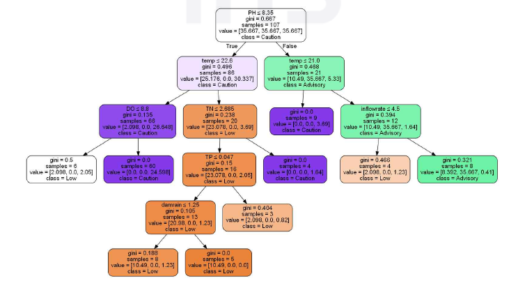 DT를 이용한 유해남조류수 예측